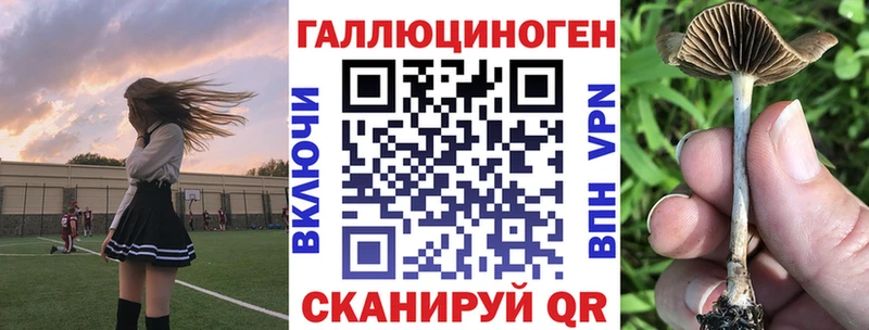 купить наркоту  kraken маркетплейс  Галлюциногенные грибы ЛСД  Вяземский 
